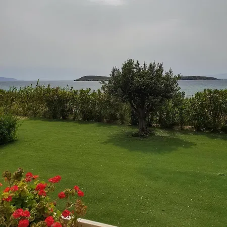 Kleanthi
