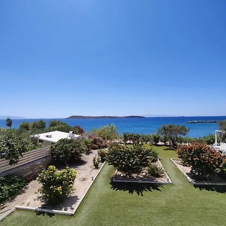 Kleanthi Δρυός